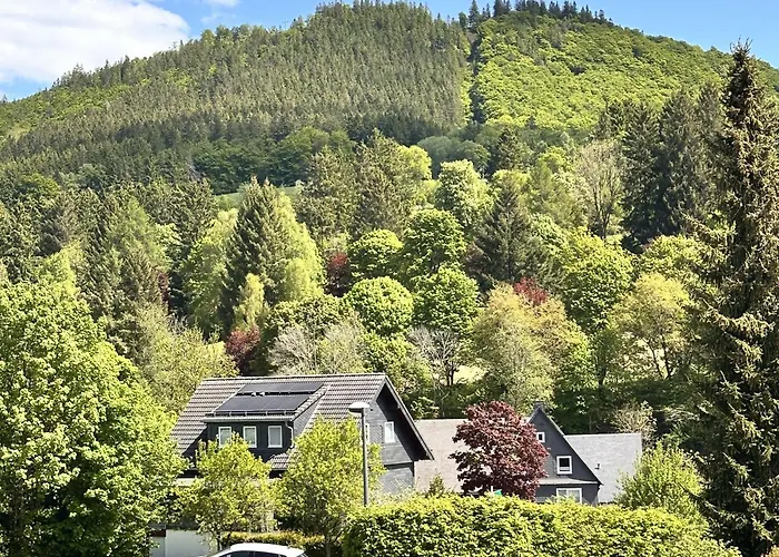 Smart Haus Smaragd 903 Apartamento Winterberg
